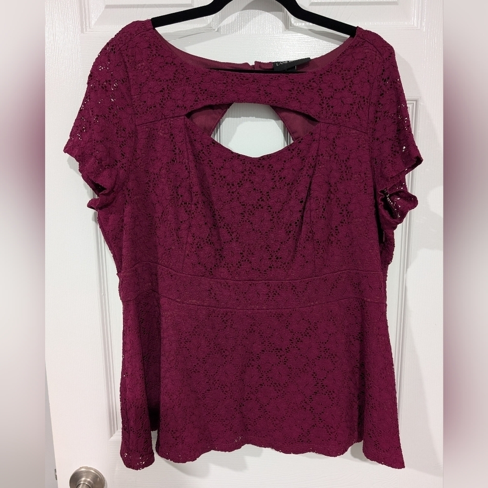 Lane Bryant Purple Eyelet Lace Peplum Short Sleeve Blouse in Size 22